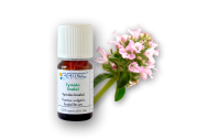 Arttec Tymian linalol (Thymus vulgaris linaloriferum)