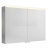 Sapho LINEX galérka s LED osvetlením, 100x70x15cm, dub strieborný